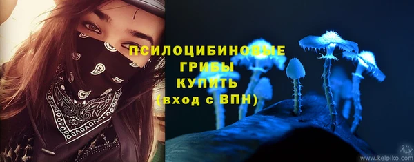 тгк Кинешма