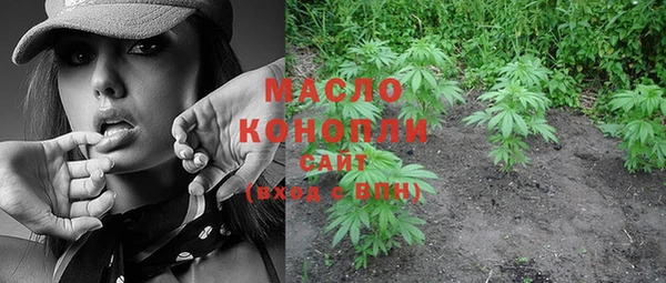 молекула духа Касимов