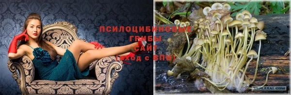 спиды Киренск