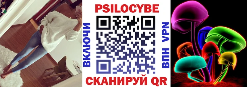 Псилоцибиновые грибы Psilocybine cubensis  Купить  Новохопёрск 