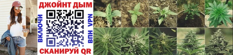 Купить где Новохопёрск Марихуана Bruce Banner